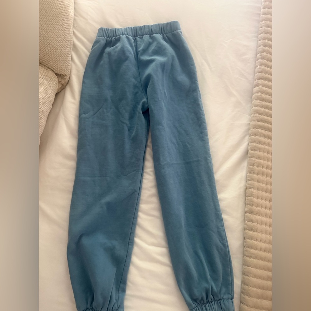Brandy Melville Blue sweatpants joggers